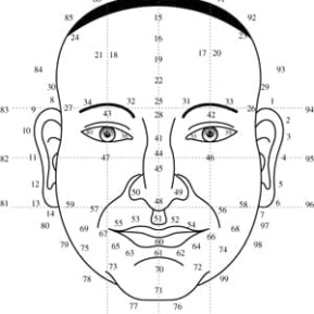 Chinese Face Reading