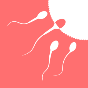 Sperm