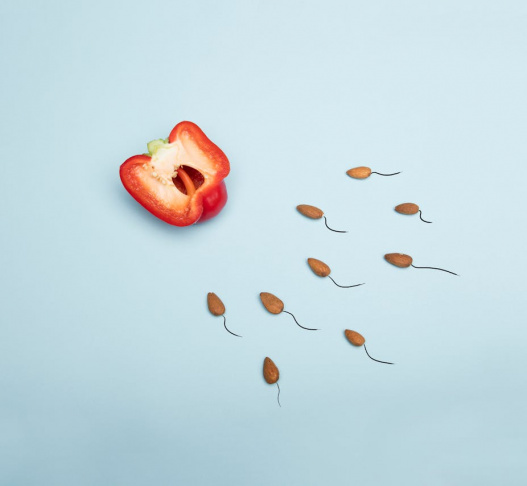 Low Sperm Count Treatment