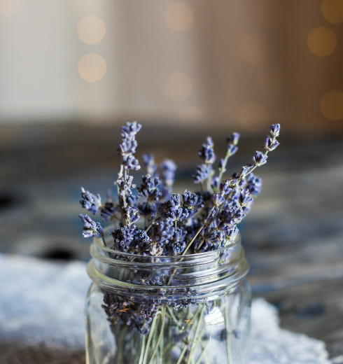 Shift_Naturopathy